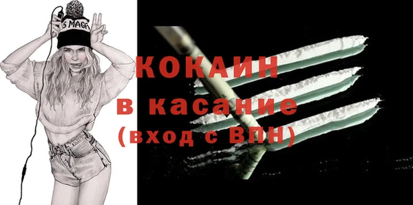 индика Приозерск