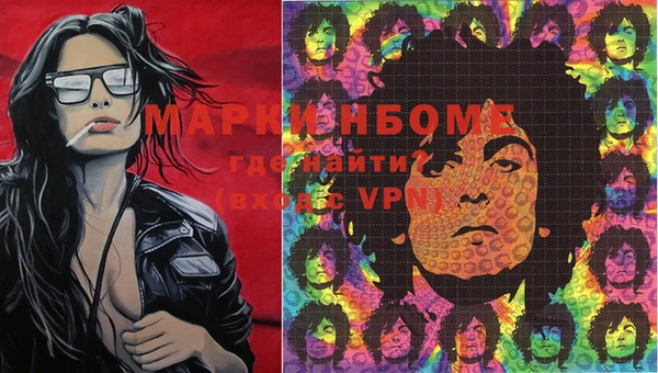 шишки Пролетарск
