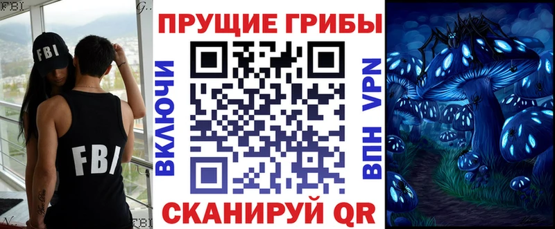 KRAKEN   хочу   Ужур  Псилоцибиновые грибы Psilocybe 